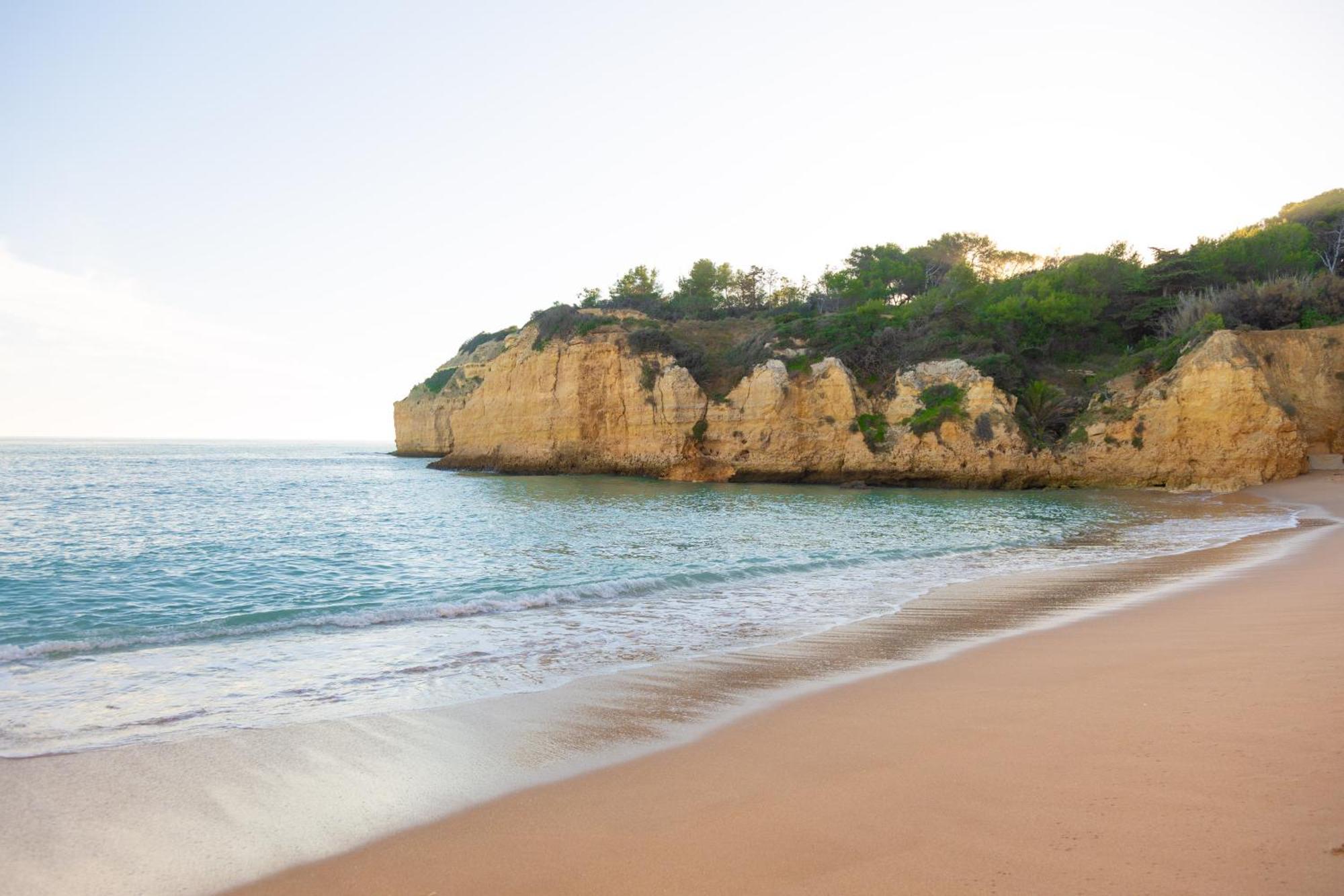 Casa Oliveira - Algarve Daire Porches  Dış mekan fotoğraf