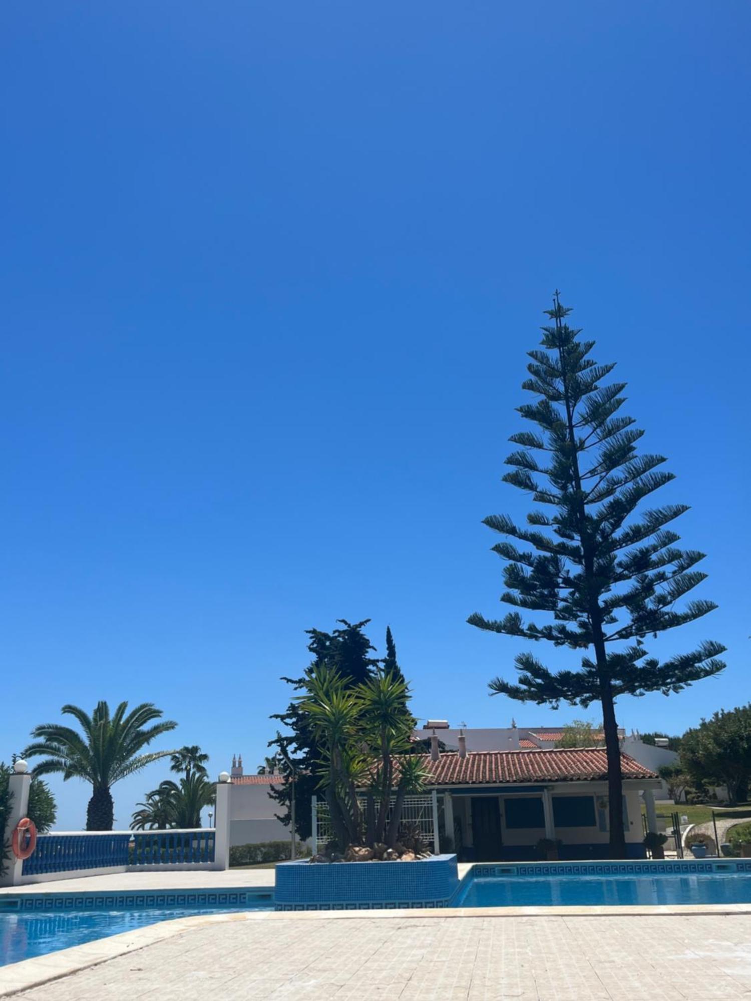 Casa Oliveira - Algarve Daire Porches  Dış mekan fotoğraf
